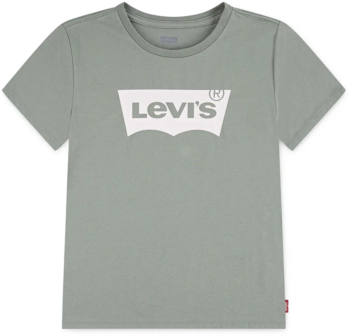 Levi´s ® Kids Batwing T-shirt Met Korte Mouwen 5 Years Meisje Shadow