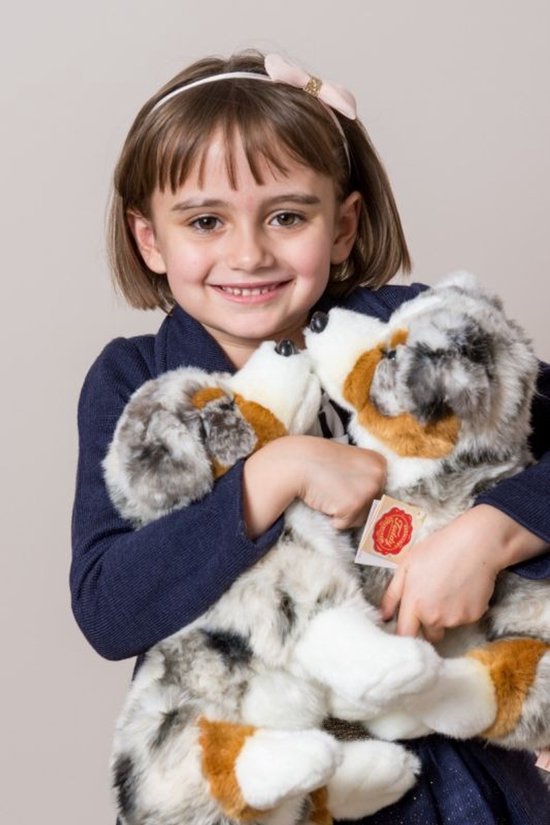 Zwitserse witte herder | Alle info over Hondenrassen | De Nieuwe Hond Zwitserse witte herder | Alle info over Hondenrassen | De Nieuwe Hond
