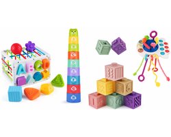 Baby Speelgoed - Speelgoed 1 Jaar - Montessori Speelgoed - Kinderspeelgoed - 4 in 1