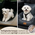 Twee witte honden; één komt uit een autodeur, de ander zit in een grijze hondenmand.