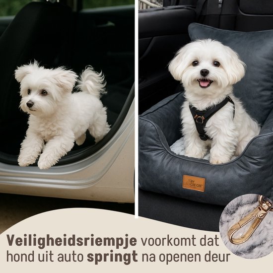 Twee witte honden; één komt uit een autodeur, de ander zit in een grijze hondenmand.