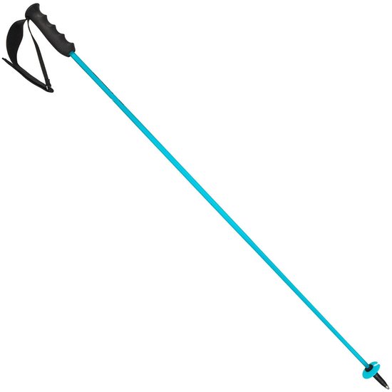 Bâtons de Bâtons de ski - Blauw