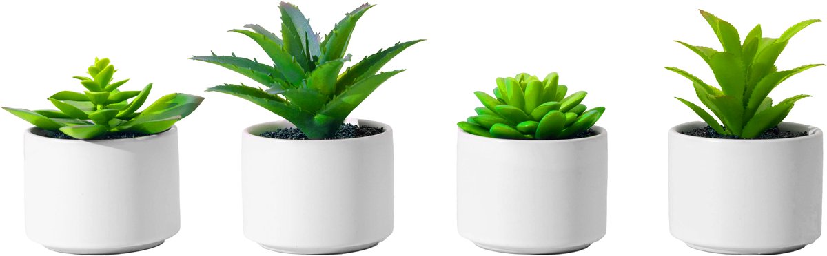 Atmosphera Kunstplanten in Pot - Wit - Set van 4 - Voor Binnen - Klein - Nep plant - Succulent - Wonen & Decoratie - Interieur - Keuken - Badkamer - Woonkamer
