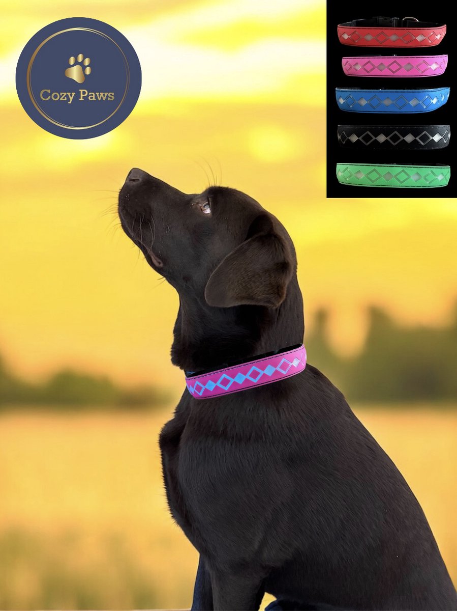 Cozypaws® LED Hondenhalsband met 15 LED kleuren - USB Oplaadbaar - Verstelbaar - Spatwaterdicht - Lichtgevende Halsband voor Honden - Roze - Maat XS
