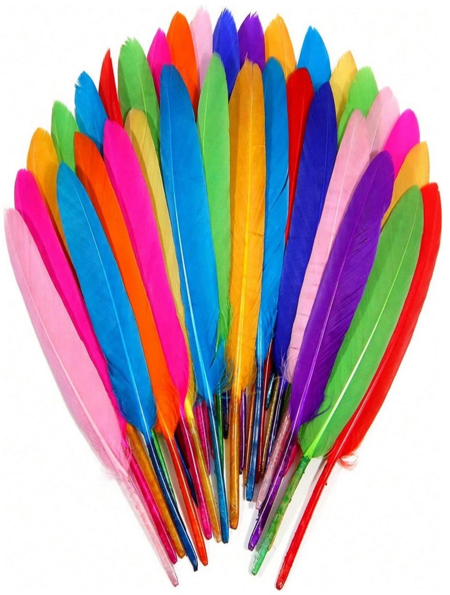 20 stuks eendenveren multicolor 10-15 cm