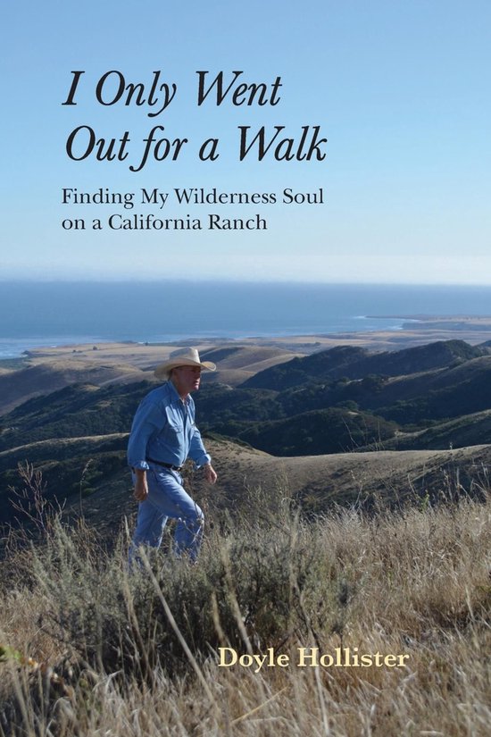 I Only Went Out for a Walk - cover