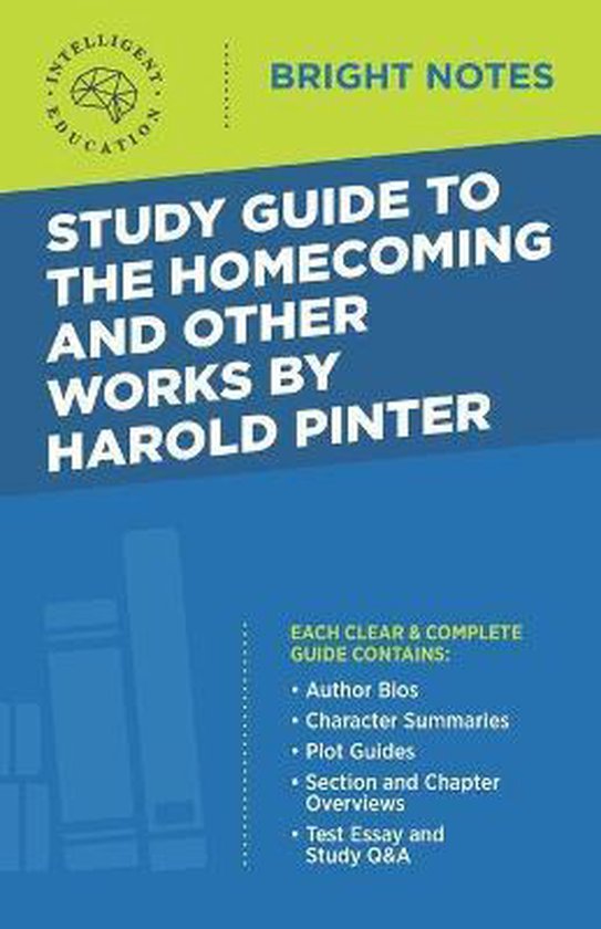 Bright Notes- Study Guide to The Homecoming and Other Works  ... - cover