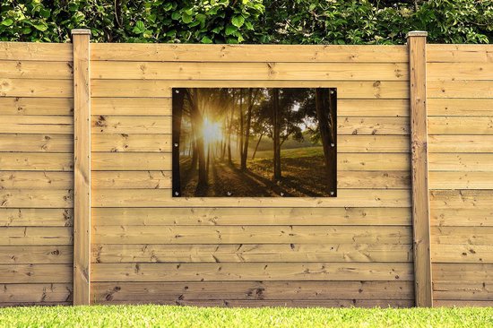 Le soleil d'automne se lève dans une forêt sombre. Affiche de jardin 120x80 cm - Toile de jardin / Toile d'extérieur / Peintures d'extérieur (décoration de jardin)