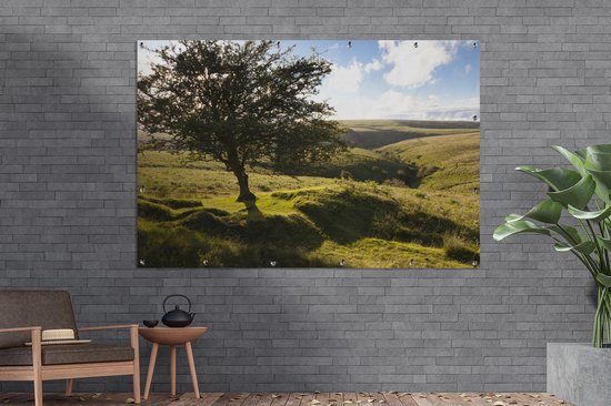 Arbre d'aubépine solitaire dans le parc national d'Exmoor en Angleterre Poster de jardin 180x120 cm - Toile de jardin / Peintures extérieur / Peintures d'extérieur (décoration de jardin) XXL / Groot format!