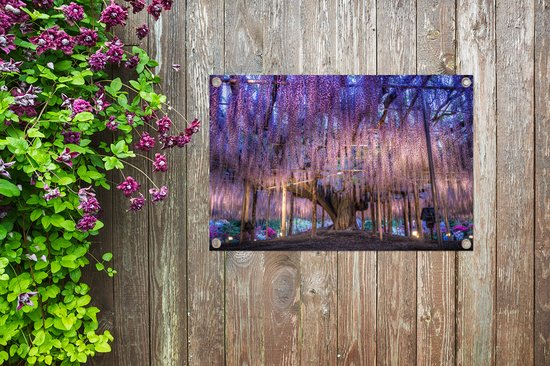 Affiche de jardin Wisteria et un arbre 90x60 cm - Toile de jardin / Toile d'extérieur / Peintures d'extérieur (décoration de jardin)