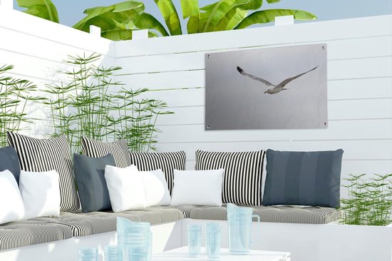 Tuinposter 60x40 cm - Tuindecoratie Pontische meeuw tijdens de vlucht - Poster voor in de tuin - Buiten decoratie - Schutting tuinschilderij - Tuindoek muurdecoratie - Wanddecoratie balkondoek