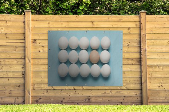 Affiche de jardin oeuf brun individuel entre oeufs blancs 160x120 cm - Toile de jardin / Toile d'extérieur / Peintures d'extérieur (décoration de jardin) XXL / Groot format!