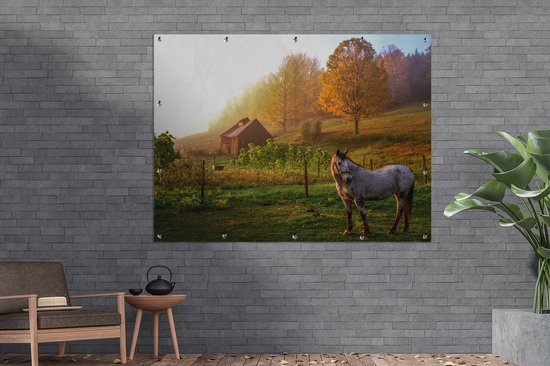 Muurdecoratie buiten Grasveld met paard in Vermont - 160x120 cm - Tuindoek - Buitenposter