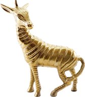 Mooi beeld van een goudkleurige zebra