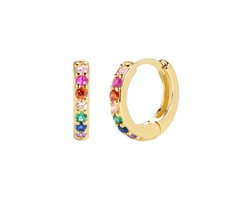 foto van Zirkonia Oorringen Goudkleurig / Multicolor - 8 mm x 3mm | Scharniersluiting