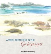 A Week Sketching in the Galapagos