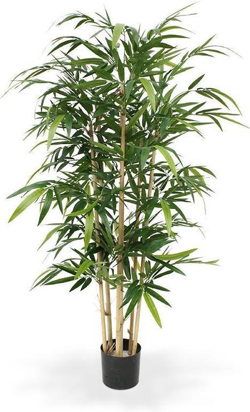 Kunst Bamboe 150 cm - Namaak Plant Bamboe - Decoratieve Groene Nep Plant  Bamboe 150 cm | bol.com