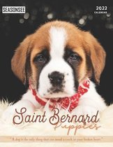 Saint Bernard Puppies Calendar 2022
