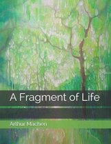 A Fragment of Life