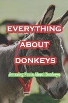 Everything About Donkeys