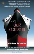 Cruise Confidential: A Hit Below the Waterline