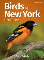 Bird Identification Guides- Birds of New York Field Guide