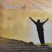 Voices of Praise - Jong Mannenkoor Urk - Jeannette Kramer - Clarissa vd Weerd - Marie Anne de Boer - Lucas Kramer / CD Christelijk - Gospel - Opwekking - Worship - Gitaar - Piano -