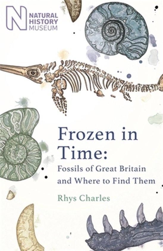 Boek cover Frozen in Time van Rhys Charles (Hardcover)