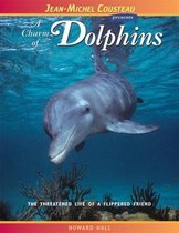 A Charm of Dolphins