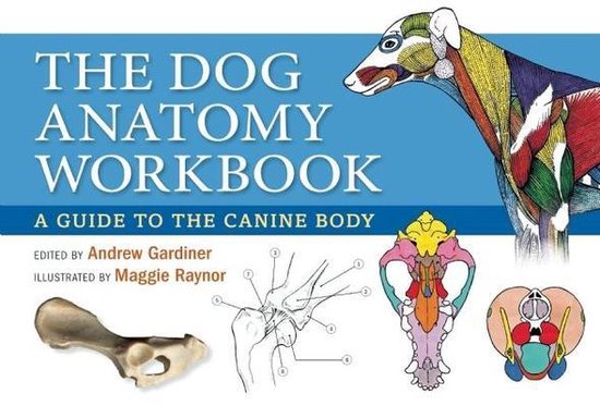The Dog Anatomy Workbook