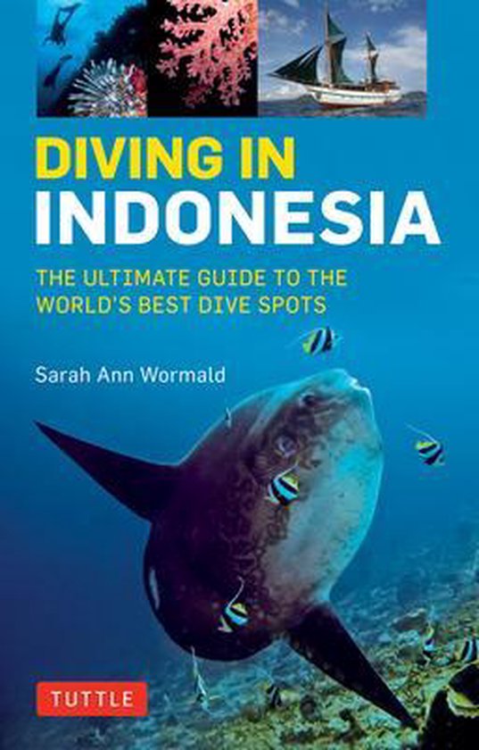 Foto: Diving in indonesia