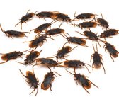 Beestjes - kakkerlaken 12 stuks 4 cm