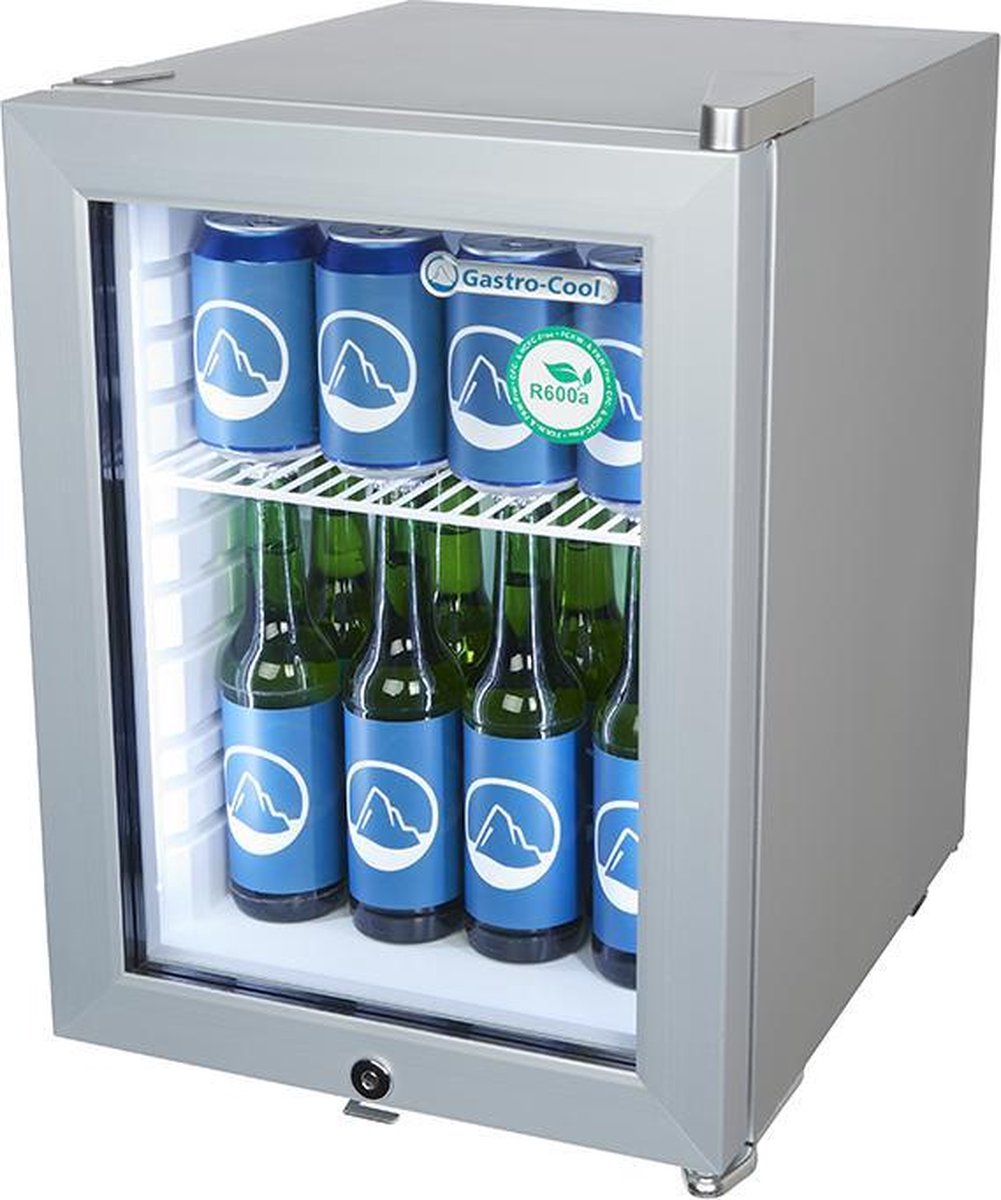Voorzien bedrag Architectuur Gastro-Cool KW25 - Mini koelkast met glazen deur 23 Liter -  Zilver/Zilver/Wit 247401 | bol.com