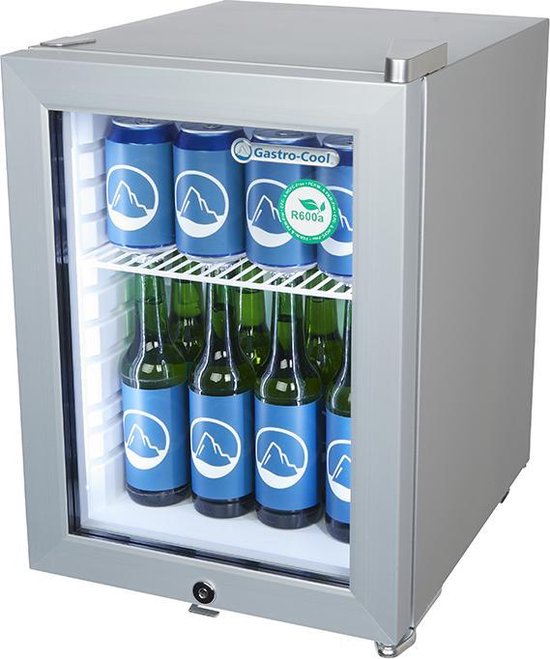 Nauwkeurig vitaliteit Voorbeeld Gastro-Cool KW25 - Mini koelkast met glazen deur 23 Liter -  Zilver/Zilver/Wit 247401 | bol.com