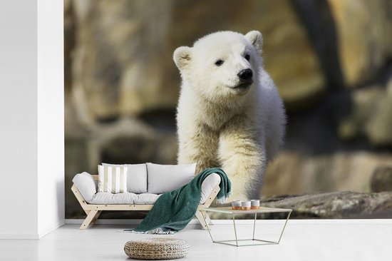 Bebe Ours Polaire 360x240 Cm Bol Com