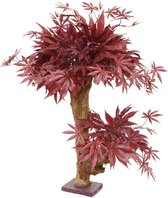 Maxifleur Kunstplanten - Kunst Acer - Kunst Bonsaiboom - 60 cm - Burgundy - Niet van echt te onderscheiden!