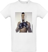 T-Rex Dino - Dinosaurus - Dino T-shirt - T-shirt kinderen  - Maat 164 (13 - 14 jaar)