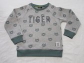 rumbl , jongens , s-shirt , grijst / groen , tiger all over ,  116 / 122