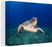 Canvas Schilderij Een groene schildpad in het water - 120x90 cm - Wanddecoratie