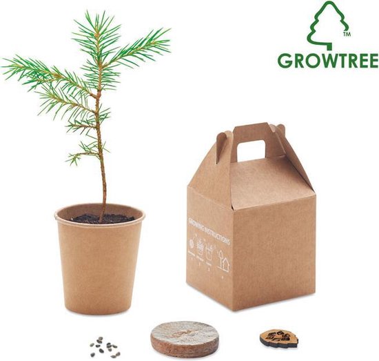 Groeiboom Kweekset