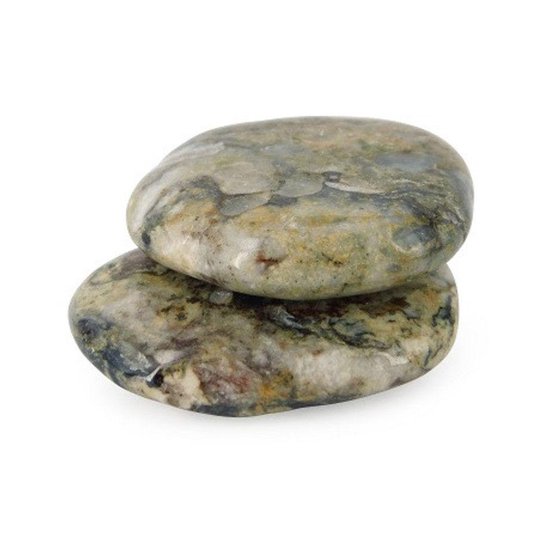 Zaksteen Fossiele steen - 4-6 cm - zwart / bruin - 4-6 cm