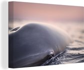 Tableaux - Gros plan d'un dauphin sur l'eau - Peintures cm - Décoration murale