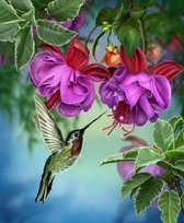 Crystal Art Hummingbird FRAMED PARTIAL - 50 x 40 cm