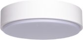 LED Plafondlamp - Igan Santi - Opbouw Rond 20W - Warm Wit 3000K - Mat Wit - Aluminium
