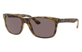 Ray Ban  4181 710/7n