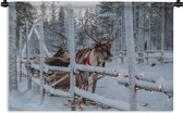 Wandkleed Kerst - Een rendier in het Dorp van de Kerstman in Finland Wandkleed katoen 60x40 cm - Wandtapijt met foto