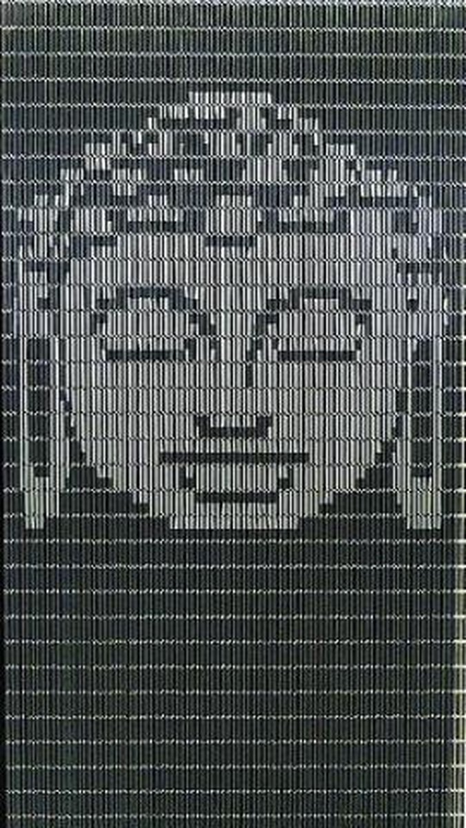 Vliegengordijn Hulzen 90x210 cm, Kant en Klaar Buddah Antraciet-Zilver