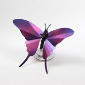 Assembli Swordtail butterfly 3D insect-glossy paars metallic