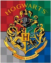 Harry potter - Hogwarts - fleece deken - 100 x 140