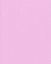 20 Linnen Kaarten papier - A4 - Magnolia Pink - Cardstock - 29,7x21cm - 240 grams - Karton
